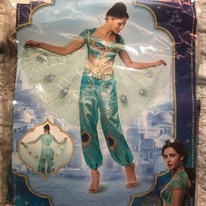 Jasmine Adult Costume